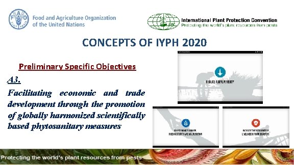 CONCEPTS OF IYPH 2020 Preliminary Specific Objectives A 3. Facilitating economic and trade development