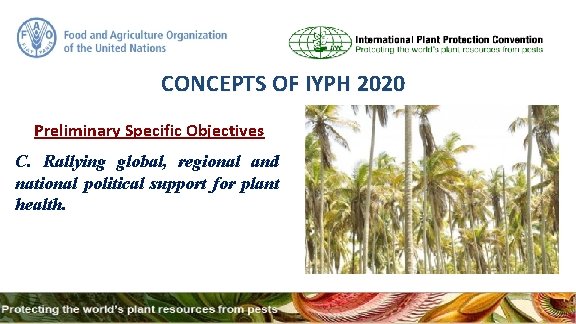 CONCEPTS OF IYPH 2020 Preliminary Specific Objectives C. Rallying global, regional and national political