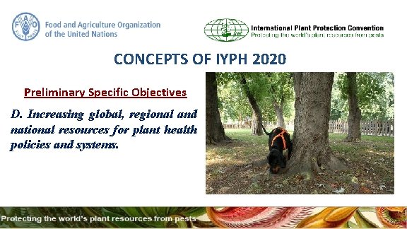 CONCEPTS OF IYPH 2020 Preliminary Specific Objectives D. Increasing global, regional and national resources