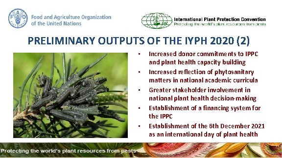 PRELIMINARY OUTPUTS OF THE IYPH 2020 (2) • • • Increased donor commitments to