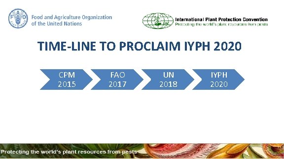 TIME-LINE TO PROCLAIM IYPH 2020 CPM 2015 FAO 2017 UN 2018 IYPH 2020 