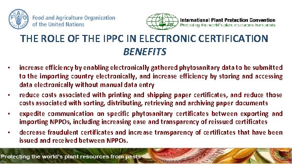 THE ROLE OF THE IPPC IN ELECTRONIC CERTIFICATION BENEFITS • • increase efficiency by