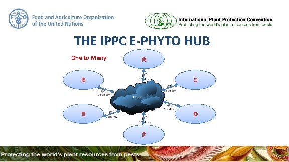 THE IPPC E-PHYTO HUB One to Many A B C E D F 