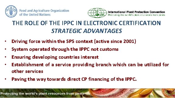 THE ROLE OF THE IPPC IN ELECTRONIC CERTIFICATION STRATEGIC ADVANTAGES Driving force within the