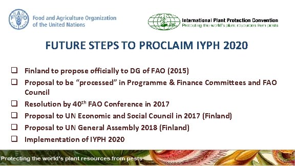 FUTURE STEPS TO PROCLAIM IYPH 2020 q Finland to propose officially to DG of