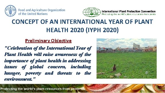 CONCEPT OF AN INTERNATIONAL YEAR OF PLANT HEALTH 2020 (IYPH 2020) Preliminary Objective "Celebration