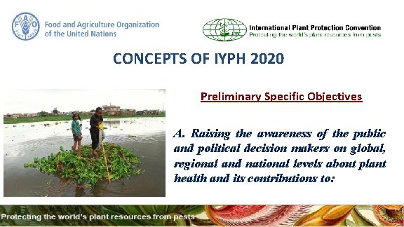 CONCEPTS OF IYPH 2020 Preliminary Specific Objectives A. Raising the awareness of the public