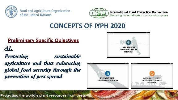 CONCEPTS OF IYPH 2020 Preliminary Specific Objectives A 1. Protecting sustainable agriculture and thus