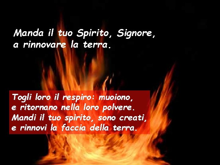 Manda il tuo Spirito, Signore, a rinnovare la terra. Togli loro il respiro: muoiono,