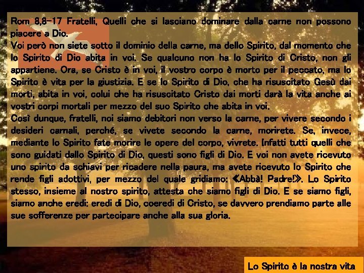 Rom 8, 8 -17 Fratelli, Quelli che si lasciano dominare dalla carne non possono