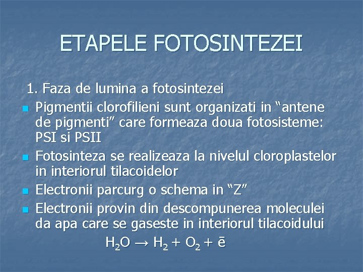 ETAPELE FOTOSINTEZEI 1. Faza de lumina a fotosintezei n Pigmentii clorofilieni sunt organizati in
