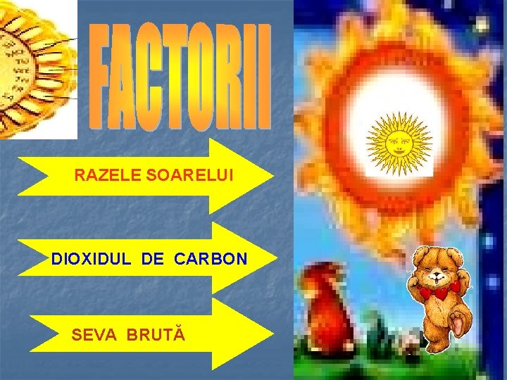 RAZELE SOARELUI DIOXIDUL DE CARBON SEVA BRUTĂ 