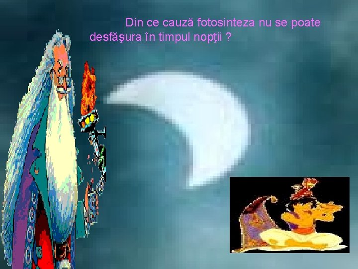 Din ce cauză fotosinteza nu se poate desfăşura în timpul nopţii ? 