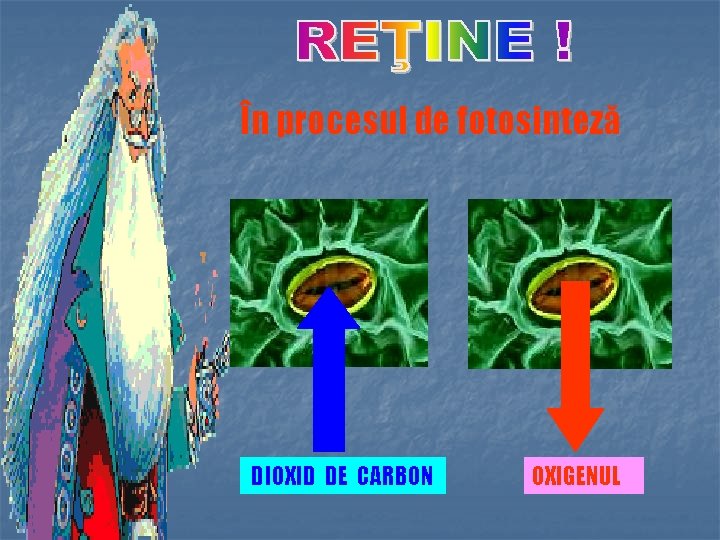 În procesul de fotosinteză DIOXID DE CARBON OXIGENUL 