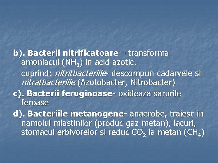 b). Bacterii nitrificatoare – transforma amoniacul (NH 3) in acid azotic. - cuprind: nitritbacteriile-