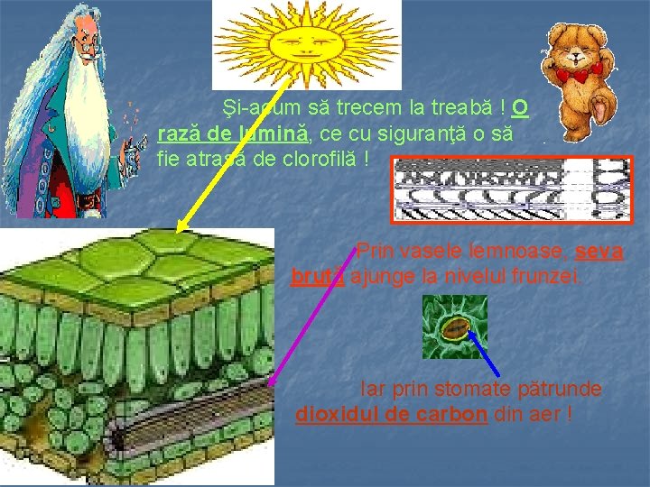 Şi-acum să trecem la treabă ! O rază de lumină, ce cu siguranţă o