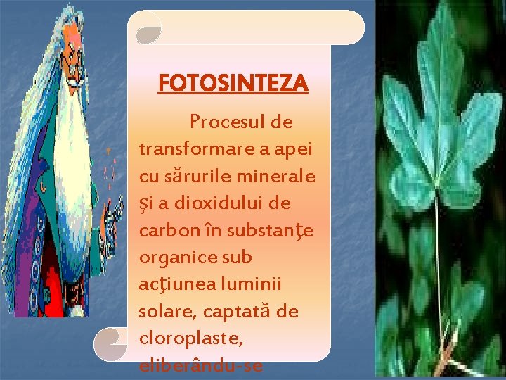 FOTOSINTEZA Procesul de transformare a apei cu sărurile minerale şi a dioxidului de carbon