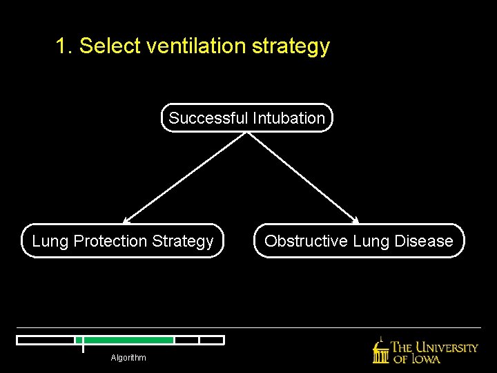 1. Select ventilation strategy Successful Intubation Lung Protection Strategy Algorithm Obstructive Lung Disease 1. Select ventilation strategy Successful Intubation Lung Protection Strategy Algorithm Obstructive Lung Disease