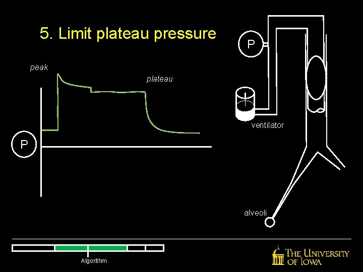 5. Limit plateau pressure P peak plateau ventilator P alveoli Algorithm 5. Limit plateau pressure P peak plateau ventilator P alveoli Algorithm