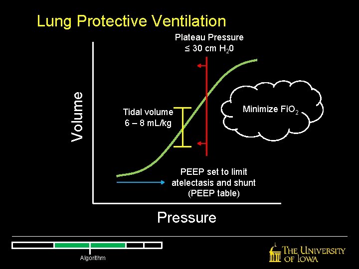 Lung Protective Ventilation Volume Plateau Pressure ≤ 30 cm H 20 Tidal volume 6 Lung Protective Ventilation Volume Plateau Pressure ≤ 30 cm H 20 Tidal volume 6