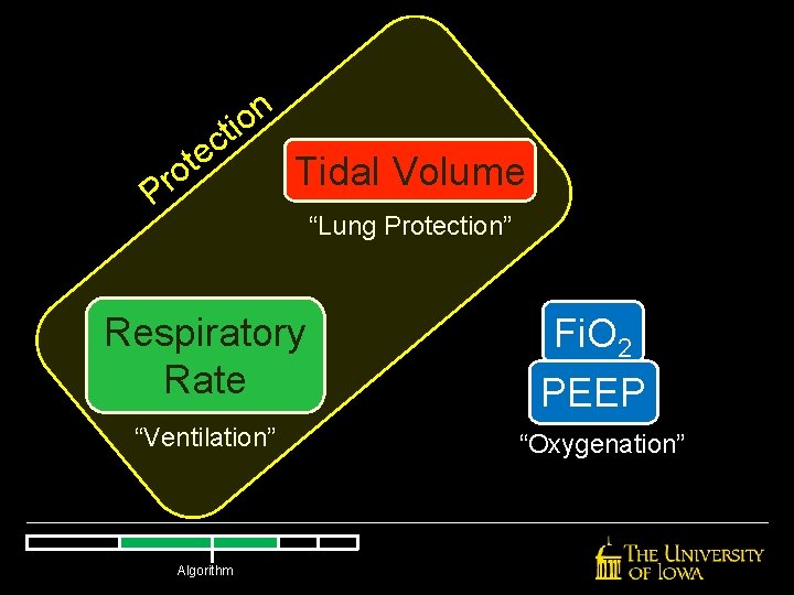 n o i t c e t o r P Tidal Volume Respiratory Rate n o i t c e t o r P Tidal Volume Respiratory Rate