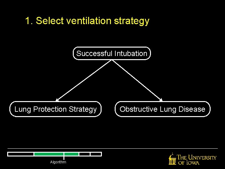 1. Select ventilation strategy Successful Intubation Lung Protection Strategy Algorithm Obstructive Lung Disease 1. Select ventilation strategy Successful Intubation Lung Protection Strategy Algorithm Obstructive Lung Disease