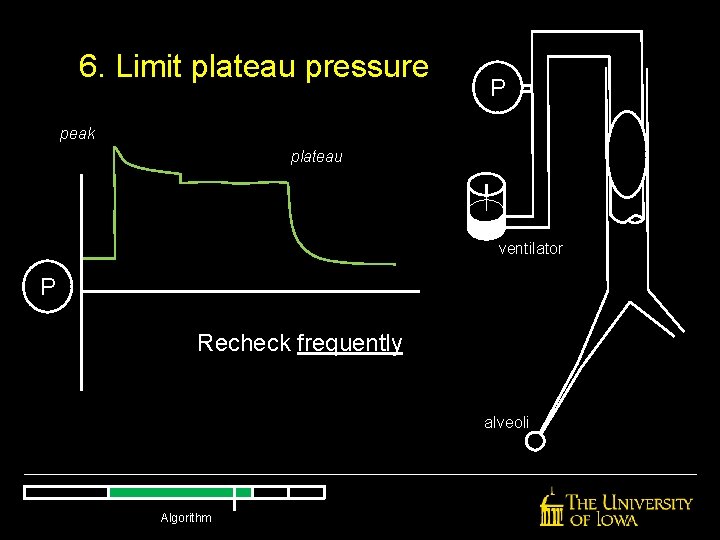 6. Limit plateau pressure P peak plateau ventilator P Recheck frequently alveoli Algorithm 6. Limit plateau pressure P peak plateau ventilator P Recheck frequently alveoli Algorithm
