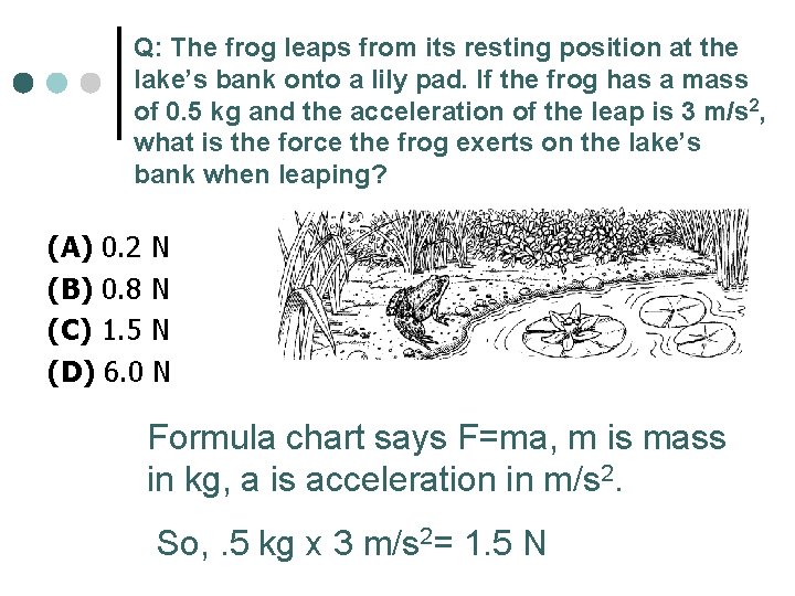 Q: The frog leaps from its resting position at the lake’s bank onto a