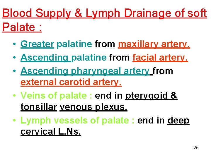 Blood Supply & Lymph Drainage of soft Palate : • Greater palatine from maxillary