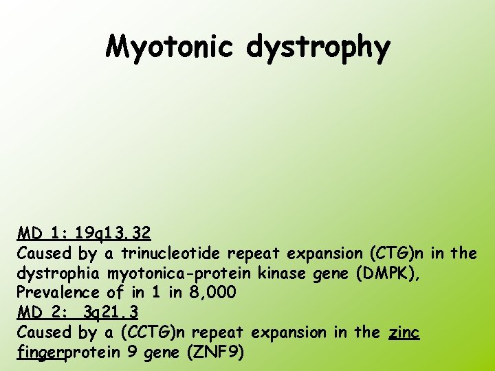 Myotonic dystrophy MD 1: 19 q 13. 32 Caused by a trinucleotide repeat expansion