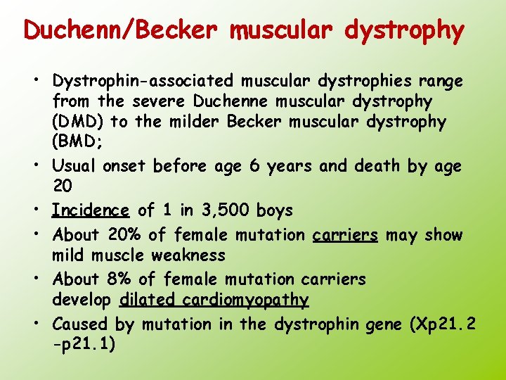 Duchenn/Becker muscular dystrophy • Dystrophin-associated muscular dystrophies range from the severe Duchenne muscular dystrophy