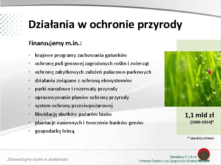 Działania w ochronie przyrody Finansujemy m. in. : • • • krajowe programy zachowania