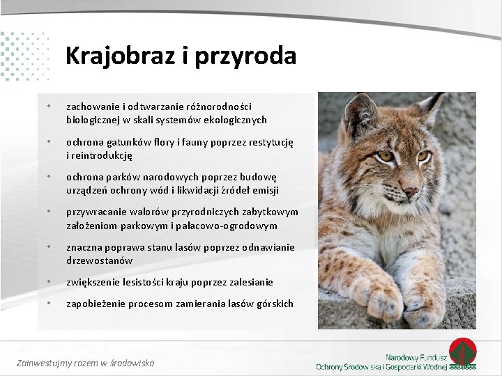 Krajobraz i przyroda • zachowanie i odtwarzanie różnorodności biologicznej w skali systemów ekologicznych •