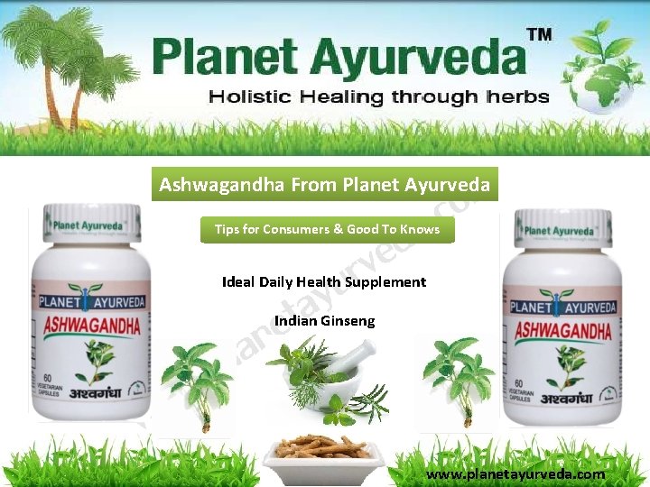 Ashwagandha From Planet Ayurveda Tips for Consumers & Good To Knows Ideal Daily Health Ashwagandha From Planet Ayurveda Tips for Consumers & Good To Knows Ideal Daily Health