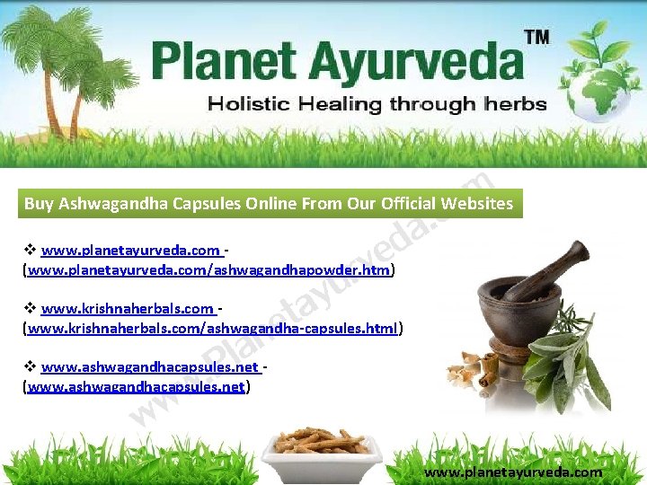 Buy Ashwagandha Capsules Online From Our Official Websites v www. planetayurveda. com (www. planetayurveda. Buy Ashwagandha Capsules Online From Our Official Websites v www. planetayurveda. com (www. planetayurveda.