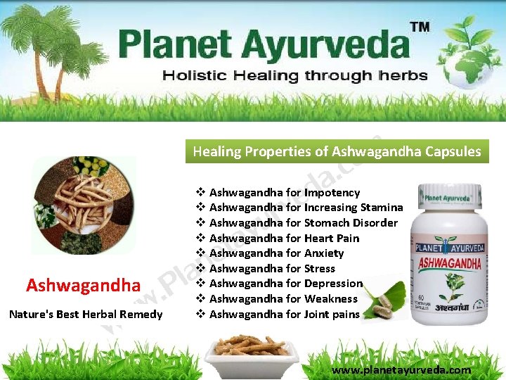 Healing Properties of Ashwagandha Capsules Ashwagandha Nature's Best Herbal Remedy v Ashwagandha for Impotency Healing Properties of Ashwagandha Capsules Ashwagandha Nature's Best Herbal Remedy v Ashwagandha for Impotency