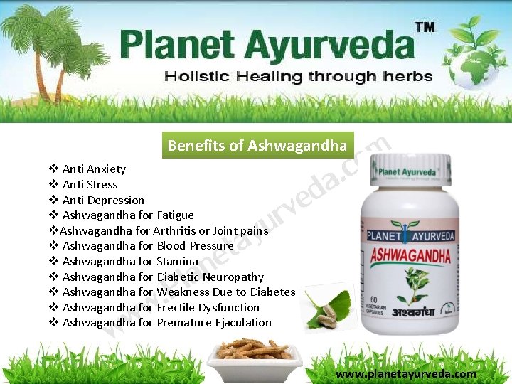 Benefits of Ashwagandha v Anti Anxiety v Anti Stress v Anti Depression v Ashwagandha Benefits of Ashwagandha v Anti Anxiety v Anti Stress v Anti Depression v Ashwagandha