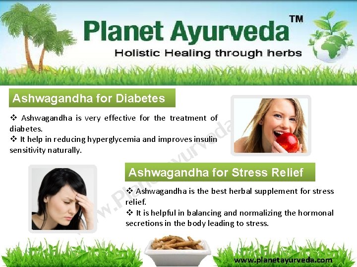 Ashwagandha for Diabetes v Ashwagandha is very effective for the treatment of diabetes. v Ashwagandha for Diabetes v Ashwagandha is very effective for the treatment of diabetes. v