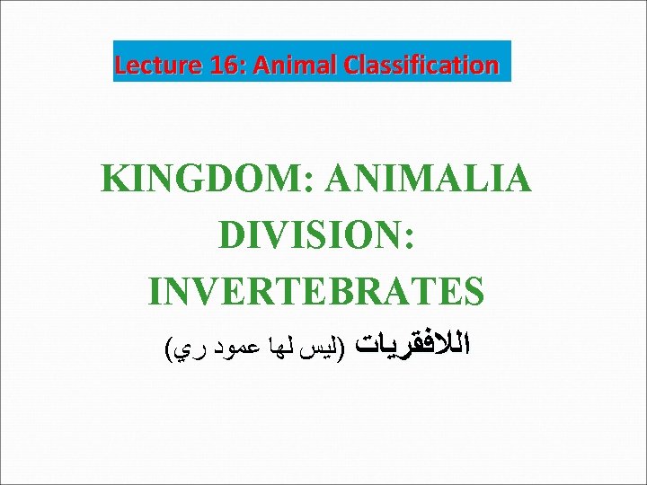 Lecture 16: Animal Classification KINGDOM: ANIMALIA DIVISION: INVERTEBRATES ( ﺍﻟﻼﻓﻘﺮﻳﺎﺕ )ﻟﻴﺲ ﻟﻬﺎ ﻋﻤﻮﺩ ﺭﻱ