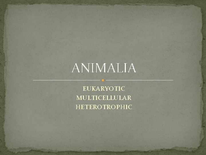 ANIMALIA EUKARYOTIC MULTICELLULAR HETEROTROPHIC 