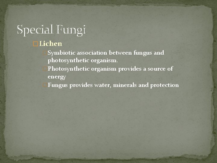 Special Fungi � Lichen �Symbiotic association between fungus and photosynthetic organism. �Photosynthetic organism provides