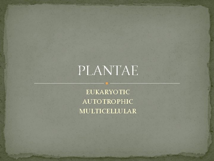 PLANTAE EUKARYOTIC AUTOTROPHIC MULTICELLULAR 