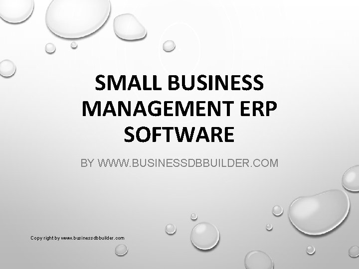 SMALL BUSINESS MANAGEMENT ERP SOFTWARE BY WWW. BUSINESSDBBUILDER. COM Copy right by www. businessdbbuilder.