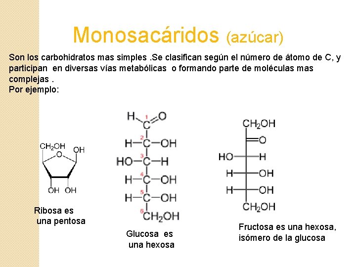 Monosacáridos (azúcar) Son los carbohidratos mas simples. Se clasifican según el número de átomo