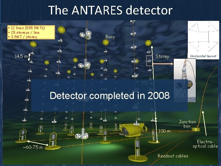 The ANTARES detector • 12 lines (885 PMTs) • 25 storeys / line •