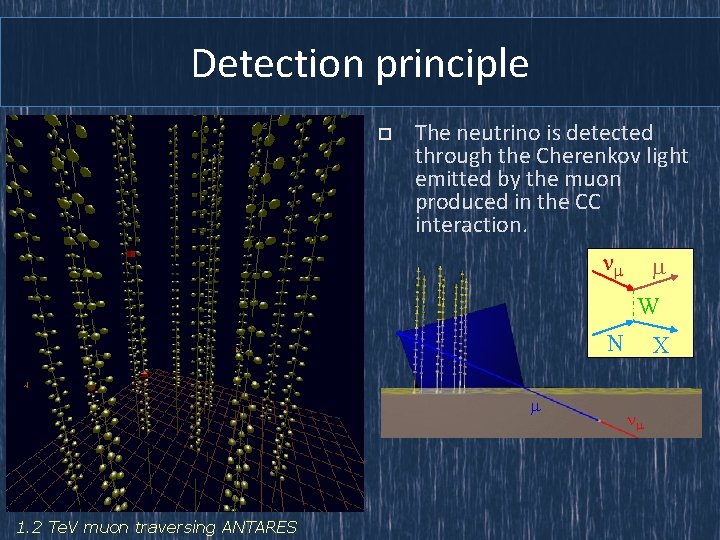 Detection principle o The neutrino is detected through the Cherenkov light emitted by the