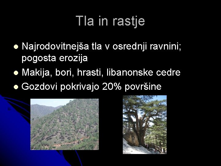 Tla in rastje Najrodovitnejša tla v osrednji ravnini; pogosta erozija Makija, bori, hrasti, libanonske