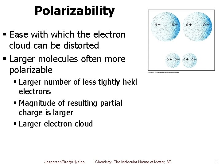 Polarizability § Ease with which the electron cloud can be distorted § Larger molecules