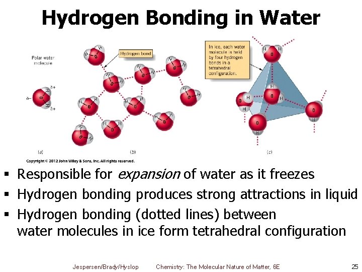 Hydrogen Bonding in Water § Responsible for expansion of water as it freezes §