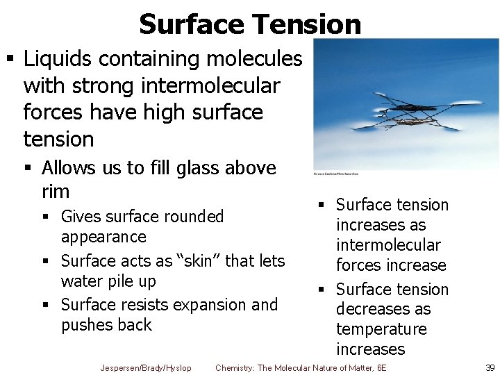 Surface Tension § Liquids containing molecules with strong intermolecular forces have high surface tension